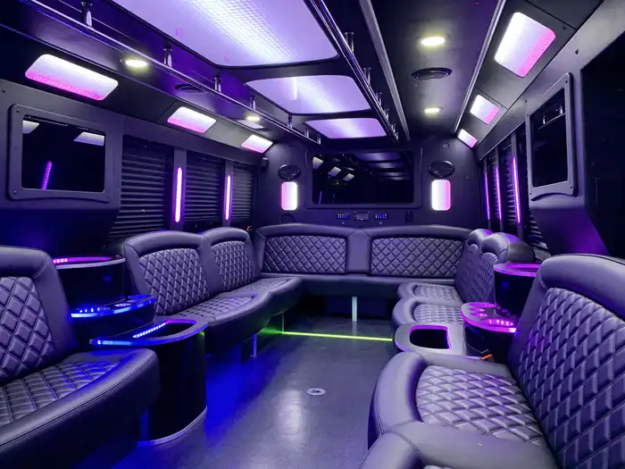 20 passenger party bus rental interior